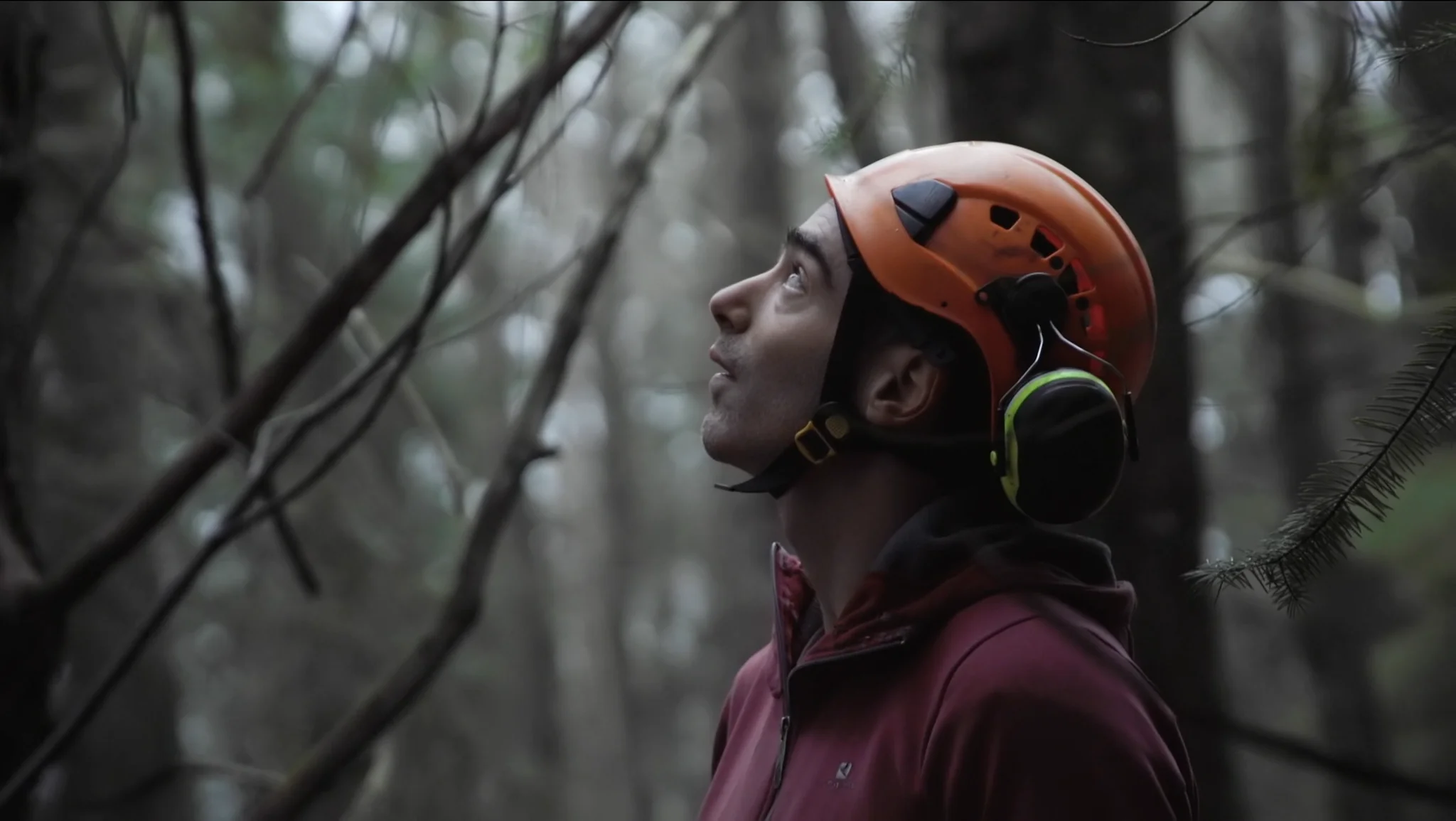 Cultiver la forêt